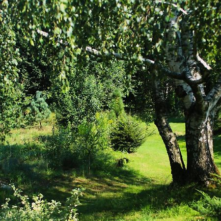Gospodarstwo Agroturystyczne Powierzowka Leśna Exteriör bild