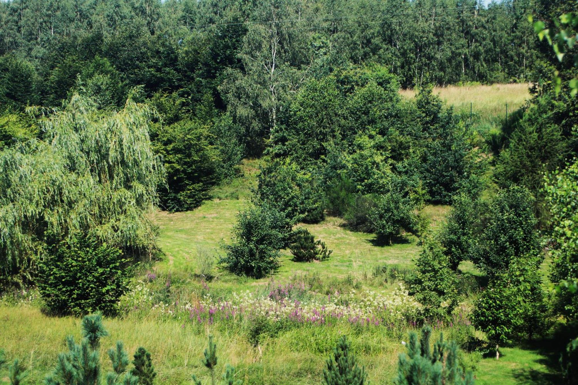 Gospodarstwo Agroturystyczne Powierzowka Leśna Exteriör bild
