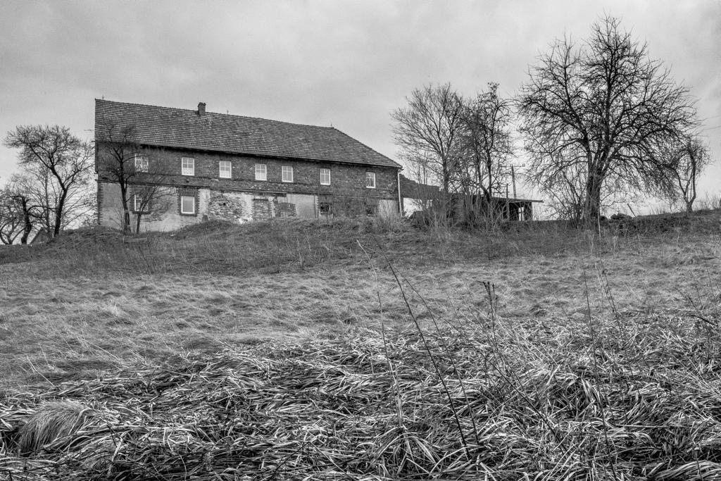 Gospodarstwo Agroturystyczne Powierzowka Leśna Exteriör bild